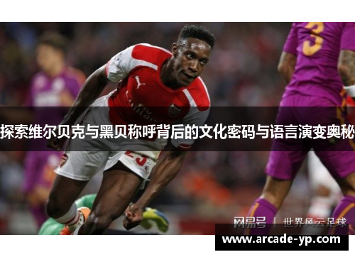 探索维尔贝克与黑贝称呼背后的文化密码与语言演变奥秘