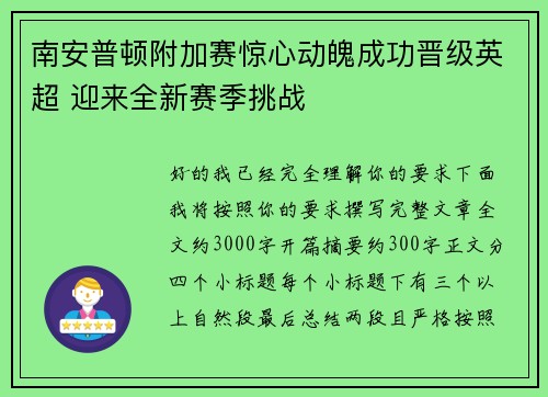 南安普顿附加赛惊心动魄成功晋级英超 迎来全新赛季挑战